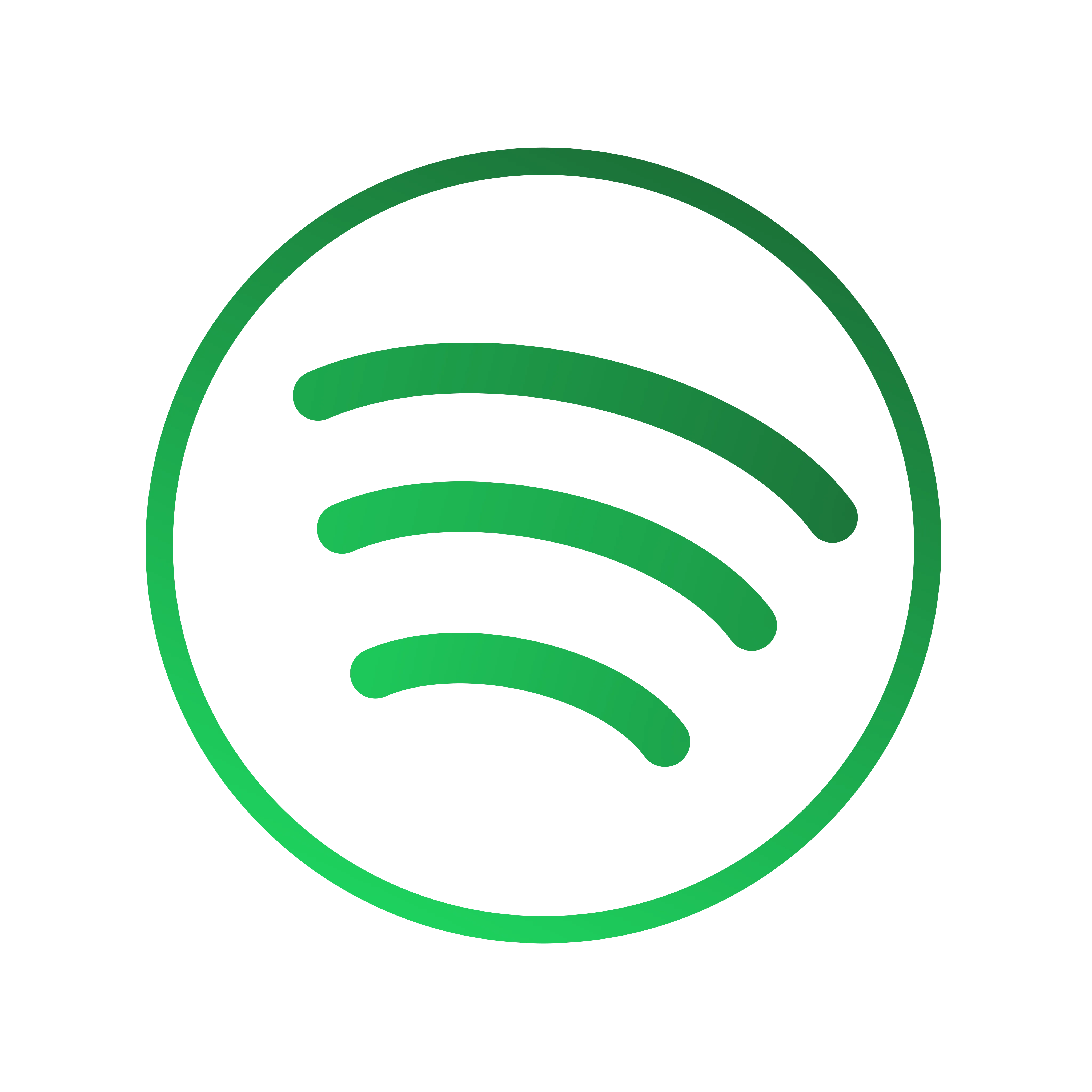 spotify playlist